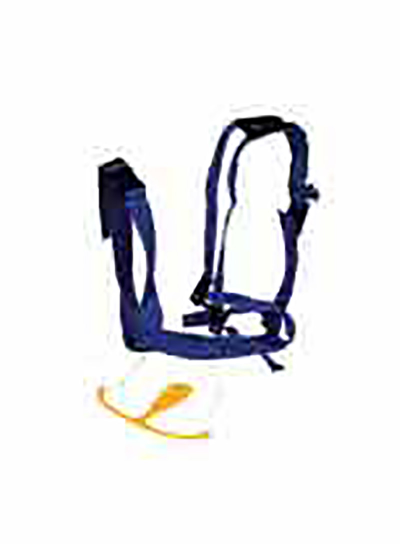 Prolapse Harness Blue