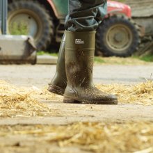 Wellingtons