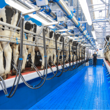 Milking Parlour Essentials