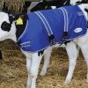 JFC Calf Jacket