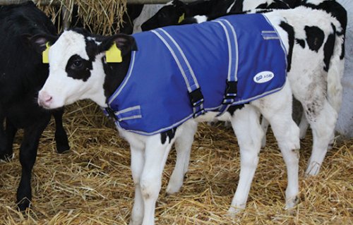JFC Calf Jacket