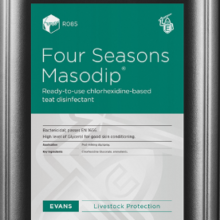 Four Seasons Masodip