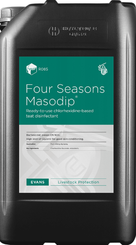 Four Seasons Masodip