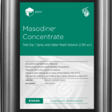 Masodine Concentrate Teat Dip