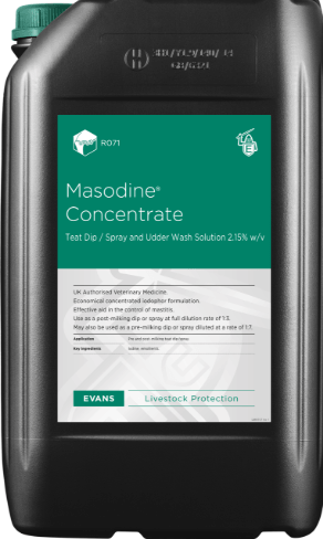 Masodine Concentrate Teat Dip