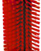 Scratch Brush Benny